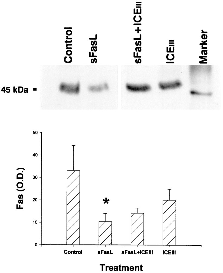 Fig. 9.