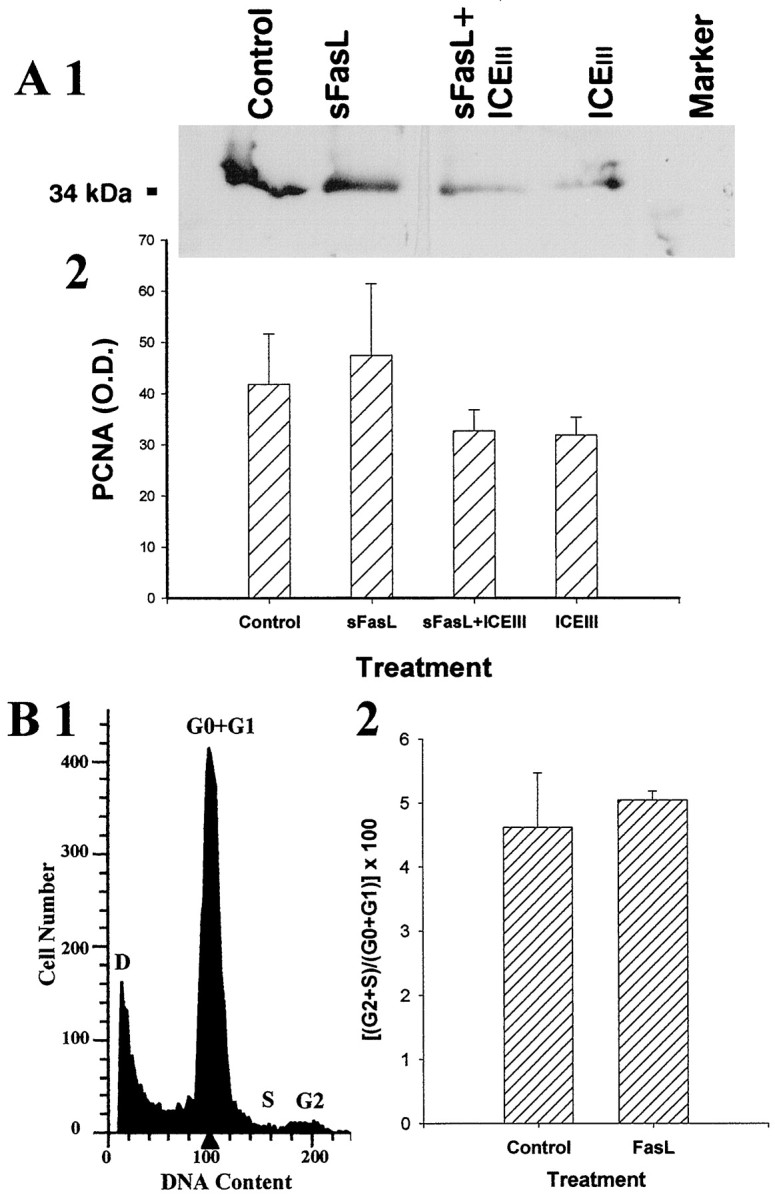 Fig. 11.