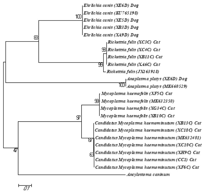 Figure 2