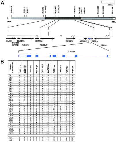 Figure  1