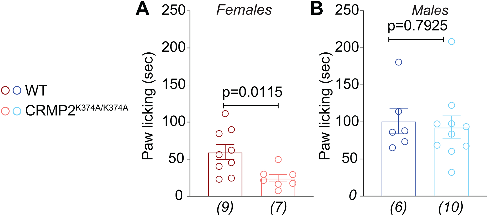 Figure 9.