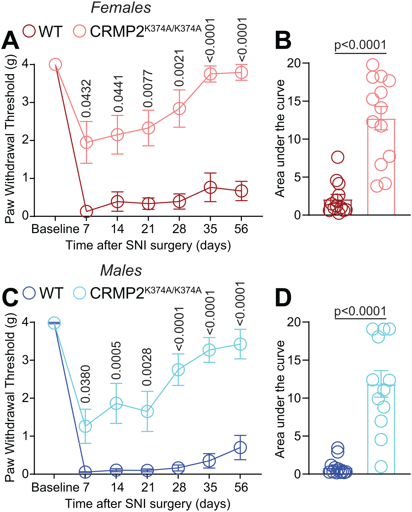 Figure 10.