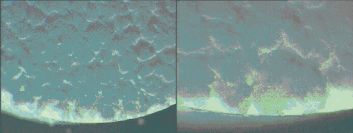 Fig. 7