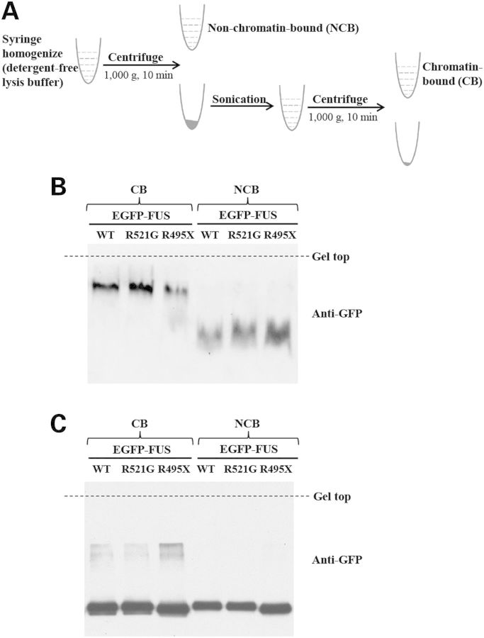 Figure 3.