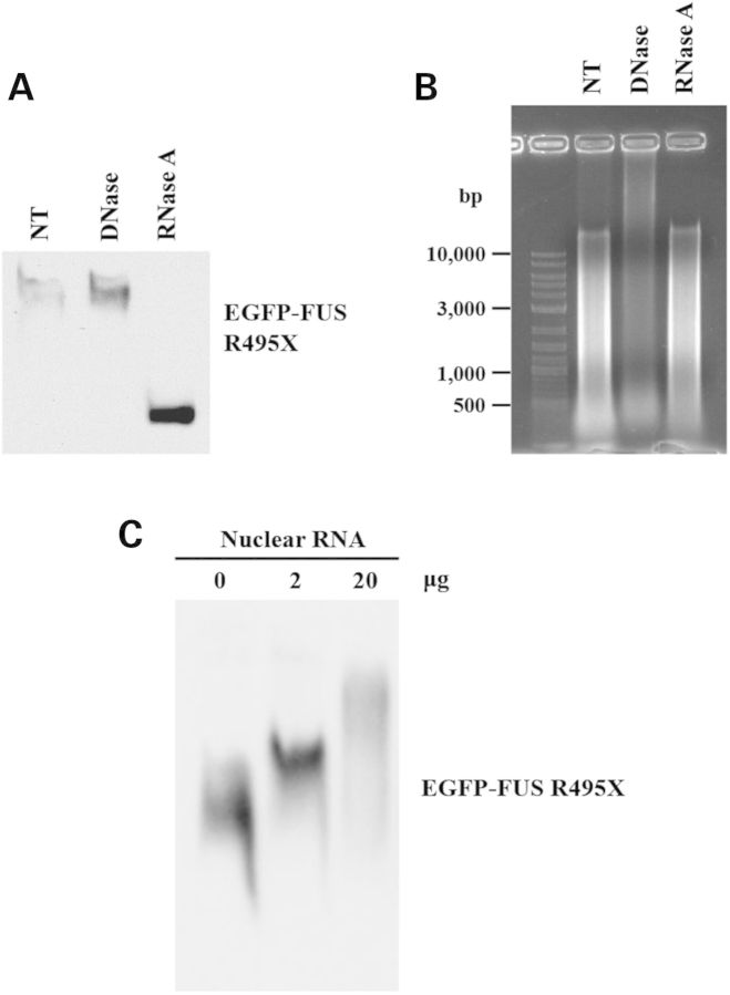 Figure 5.