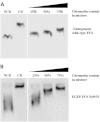 Figure 4.