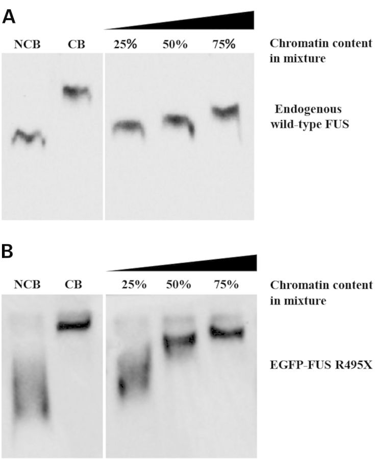 Figure 4.