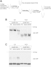 Figure 3.
