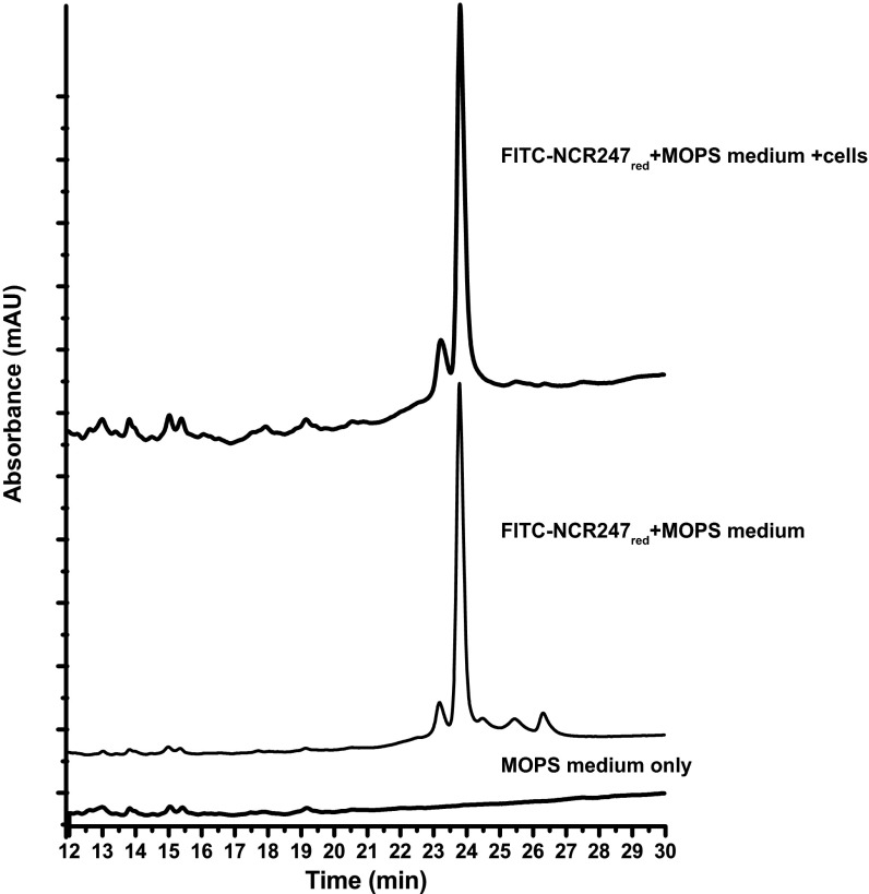 Fig. S6.