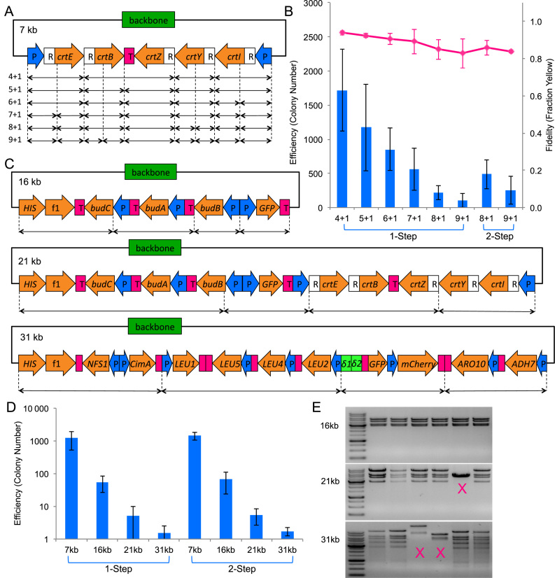 Figure 3.