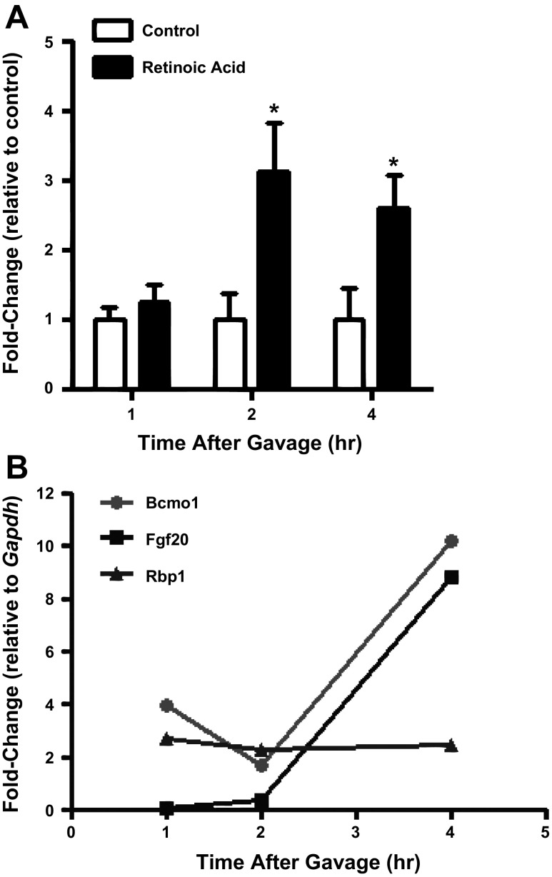 Fig. 8.