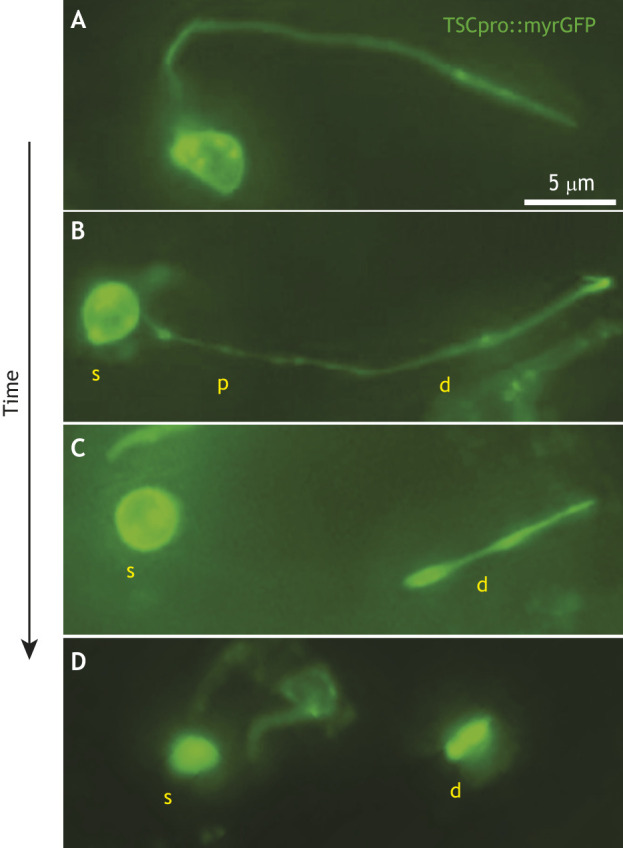 Fig. 4.