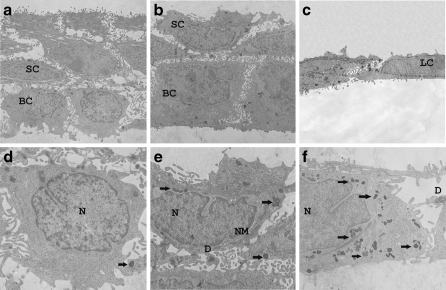 Fig. 6