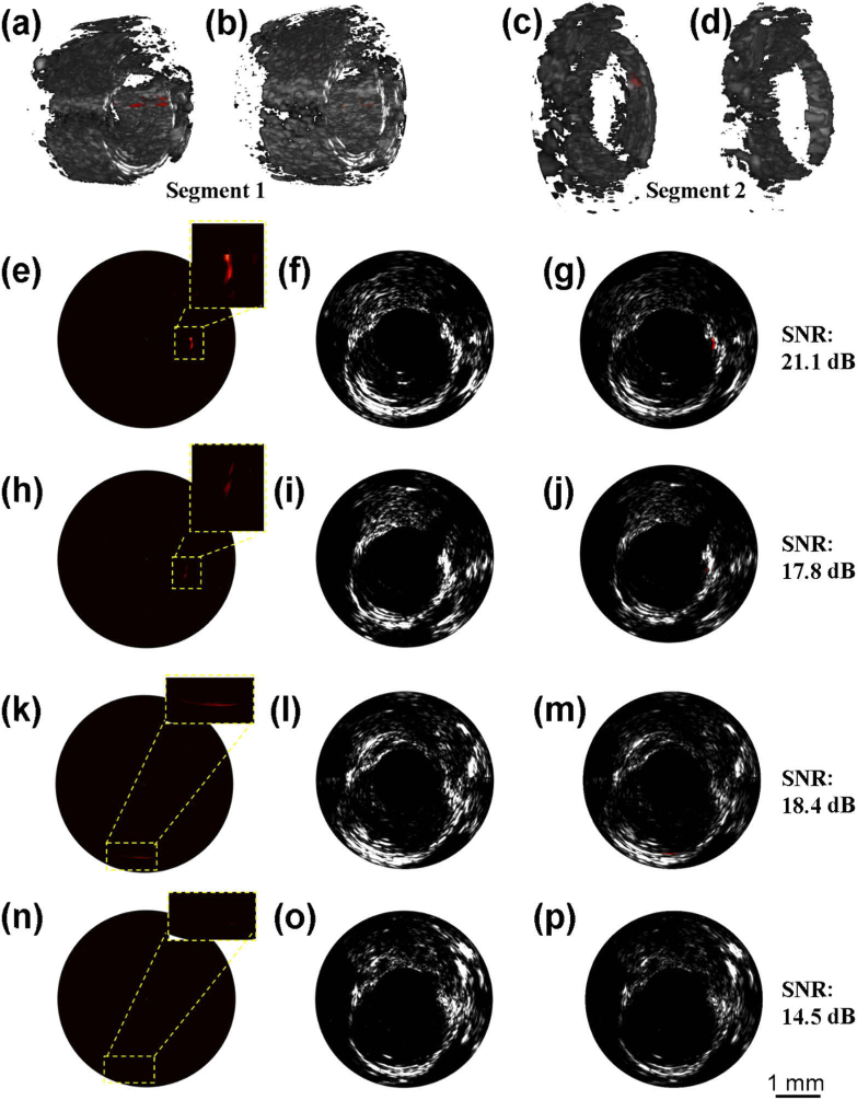 Fig. 4.