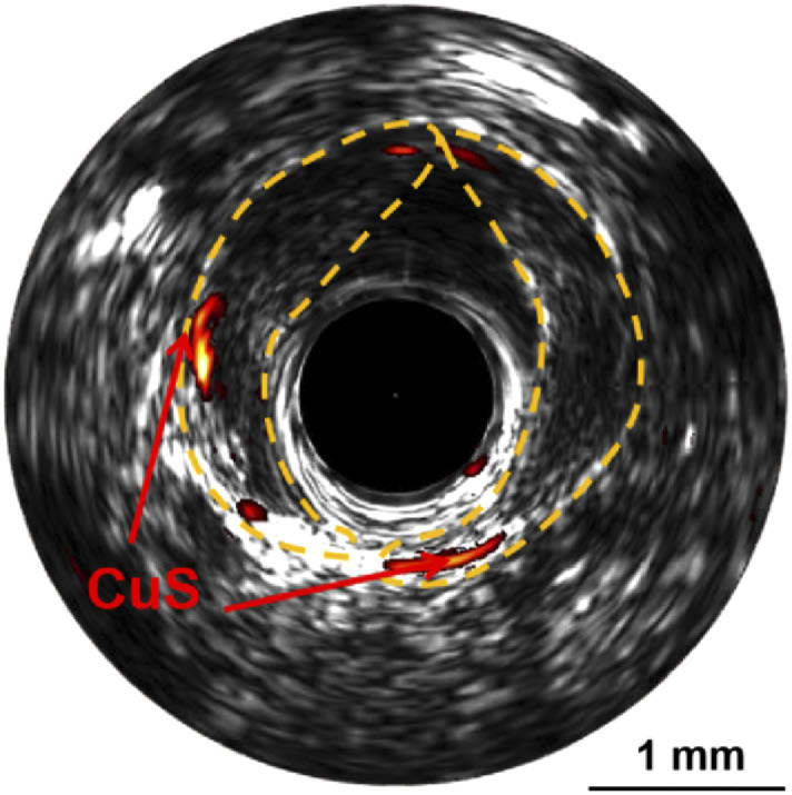 Fig. 5.