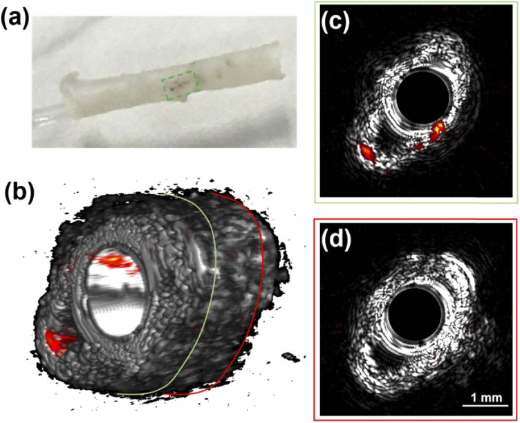 Fig. 2.