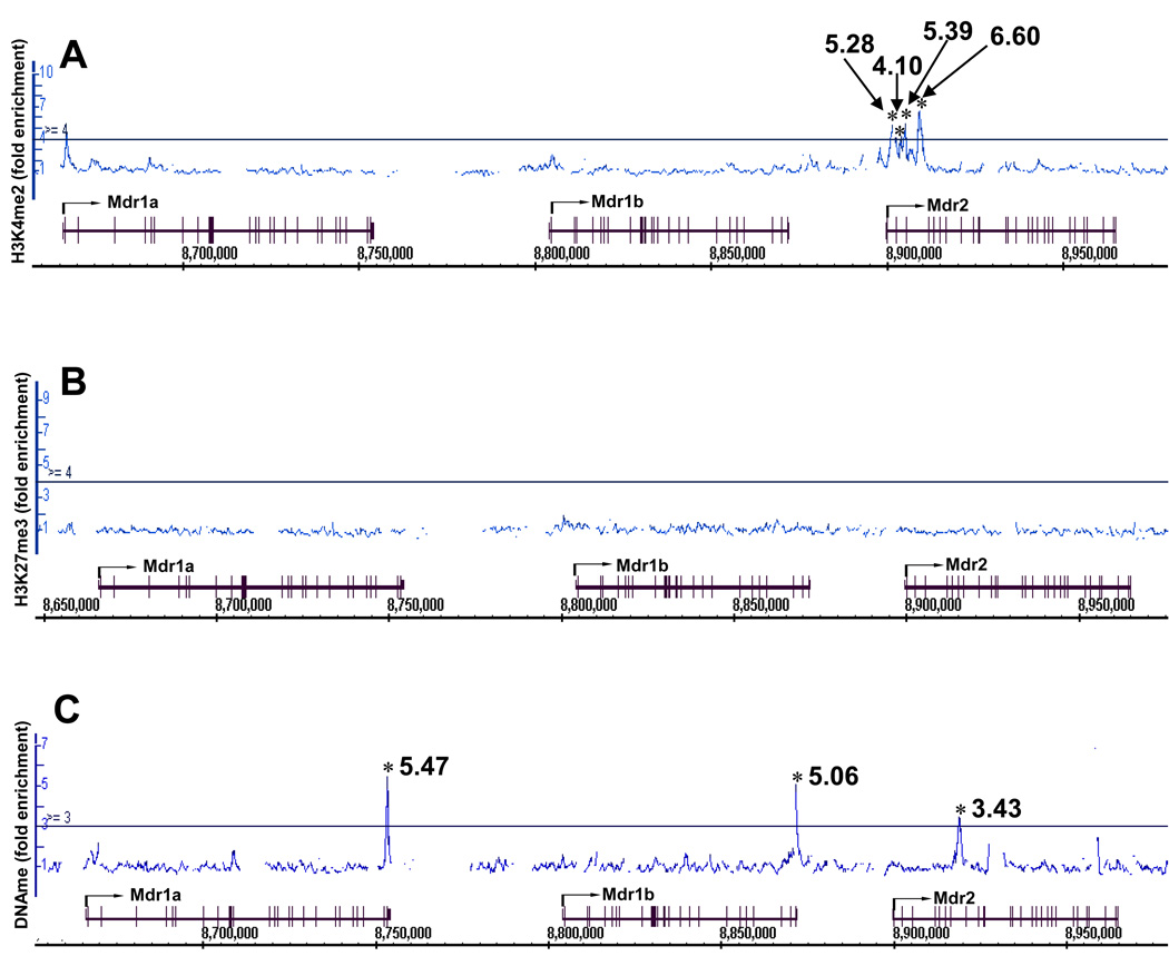 Figure 6