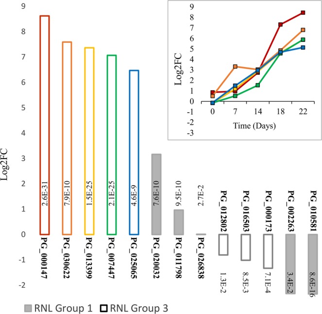 Figure 6