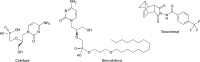 FIG 6