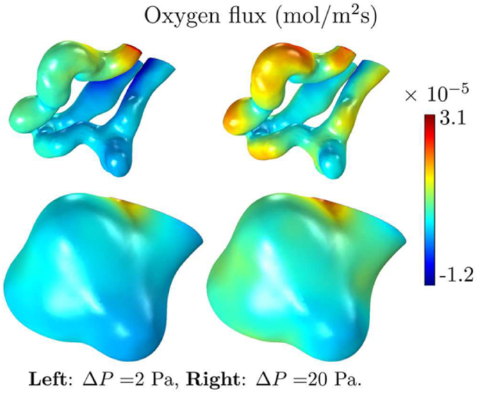 Fig. 5