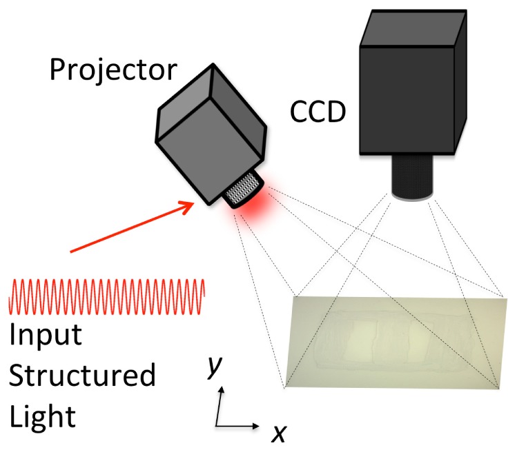 Fig. 1