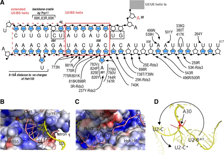 FIGURE 4.