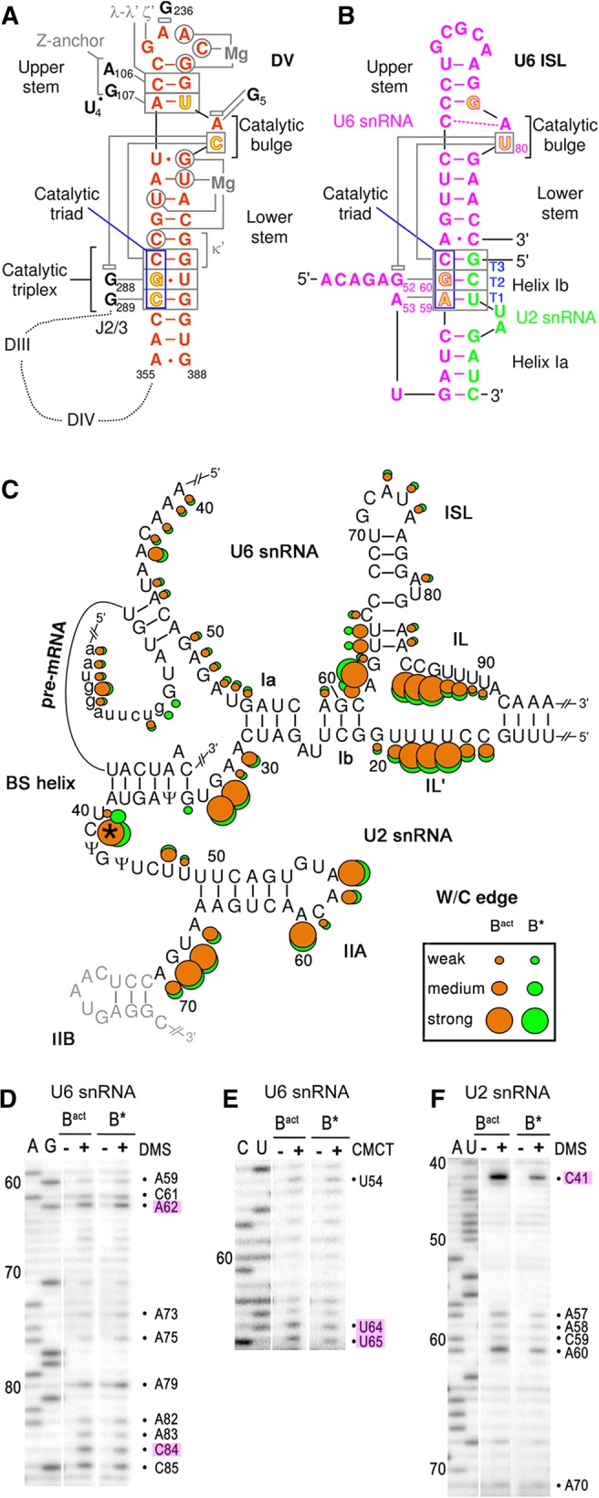 FIGURE 1.