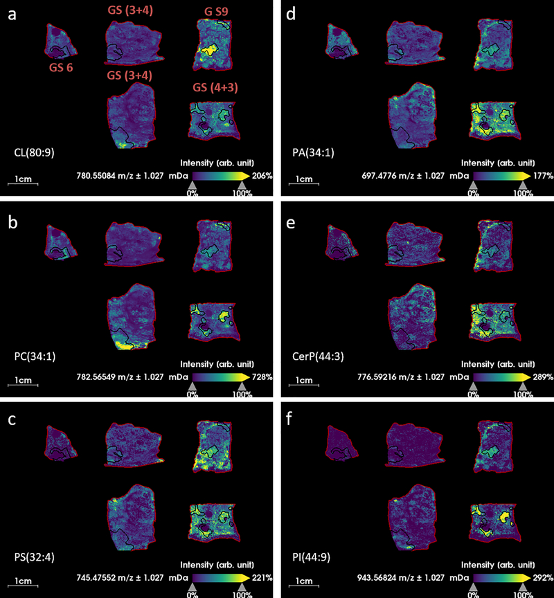 Fig. 4