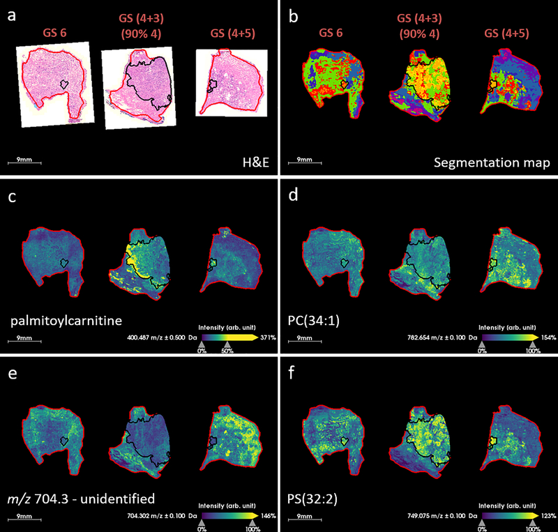 Fig. 6