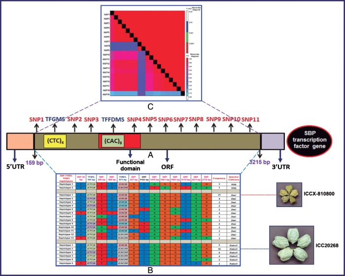 Figure 3.