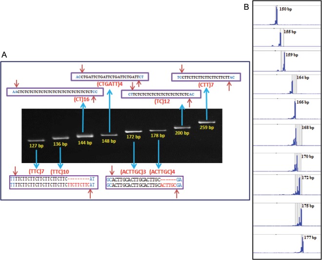 Figure 2.