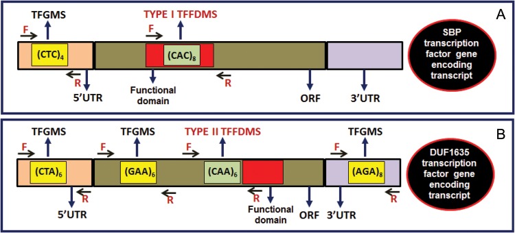 Figure 1.