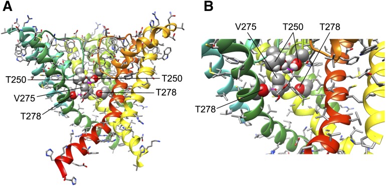 Fig. 9.