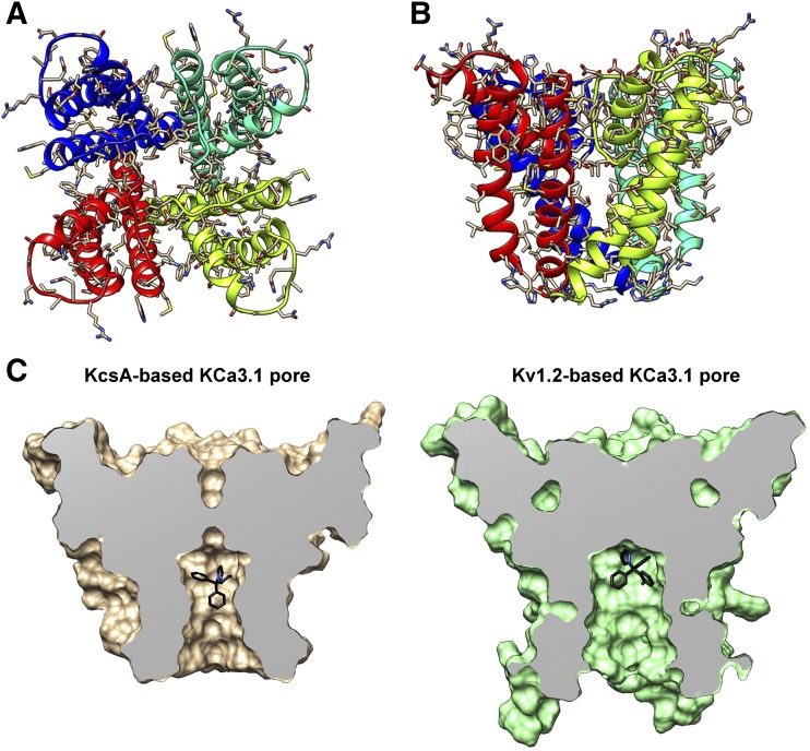 Fig. 3.