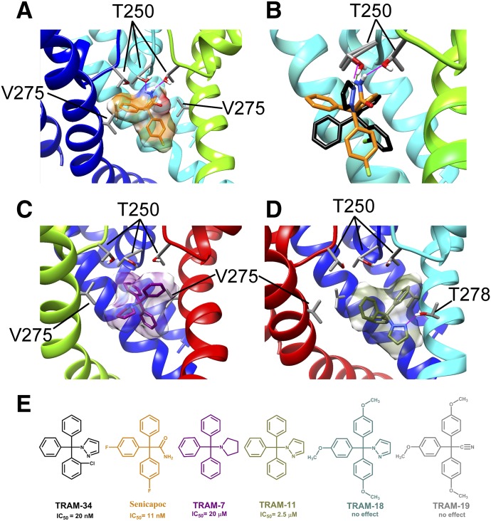 Fig. 5.