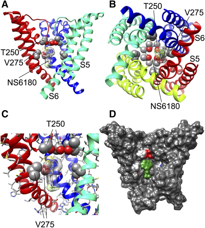 Fig. 6.