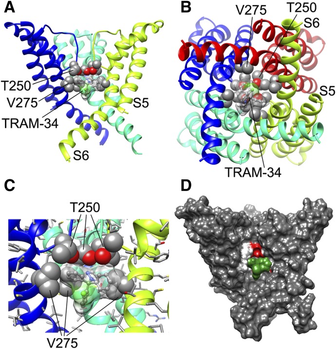 Fig. 4.