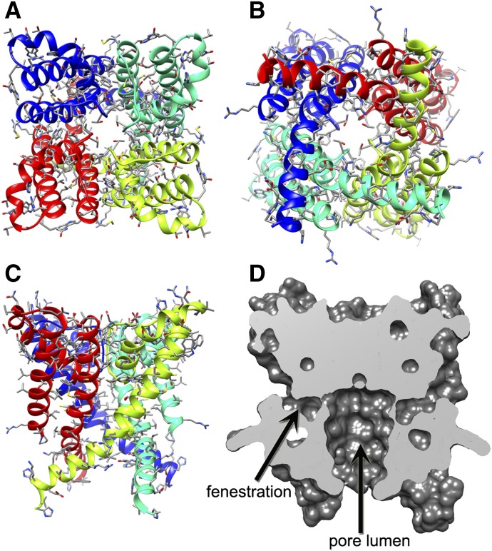 Fig. 2.