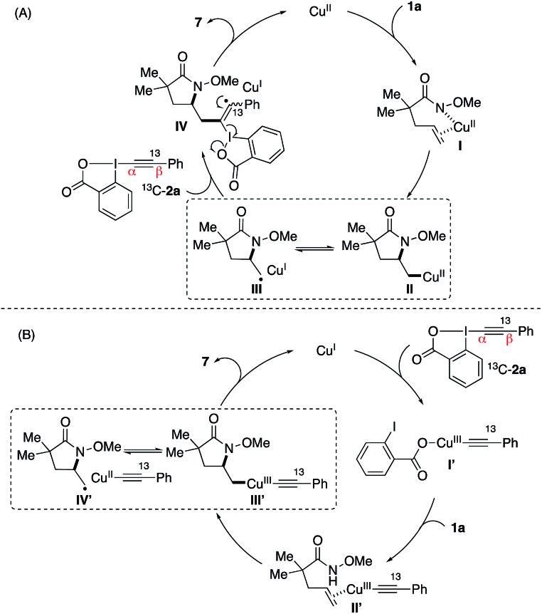 Scheme 3