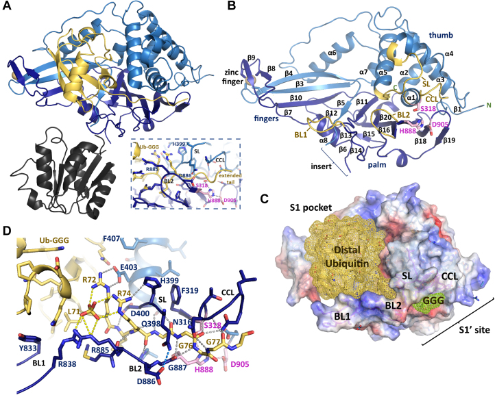 Figure 2