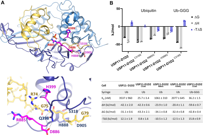 Figure 4