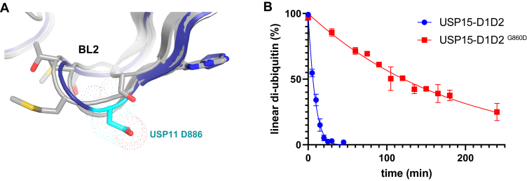 Figure 6