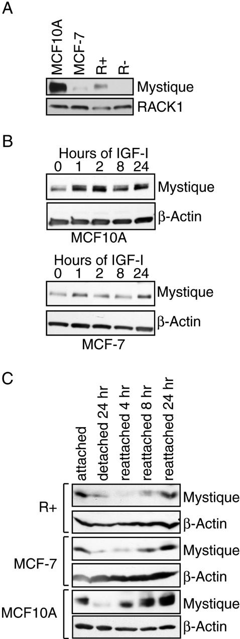 Figure 5.