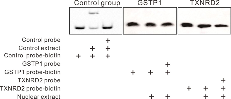 Fig. S8