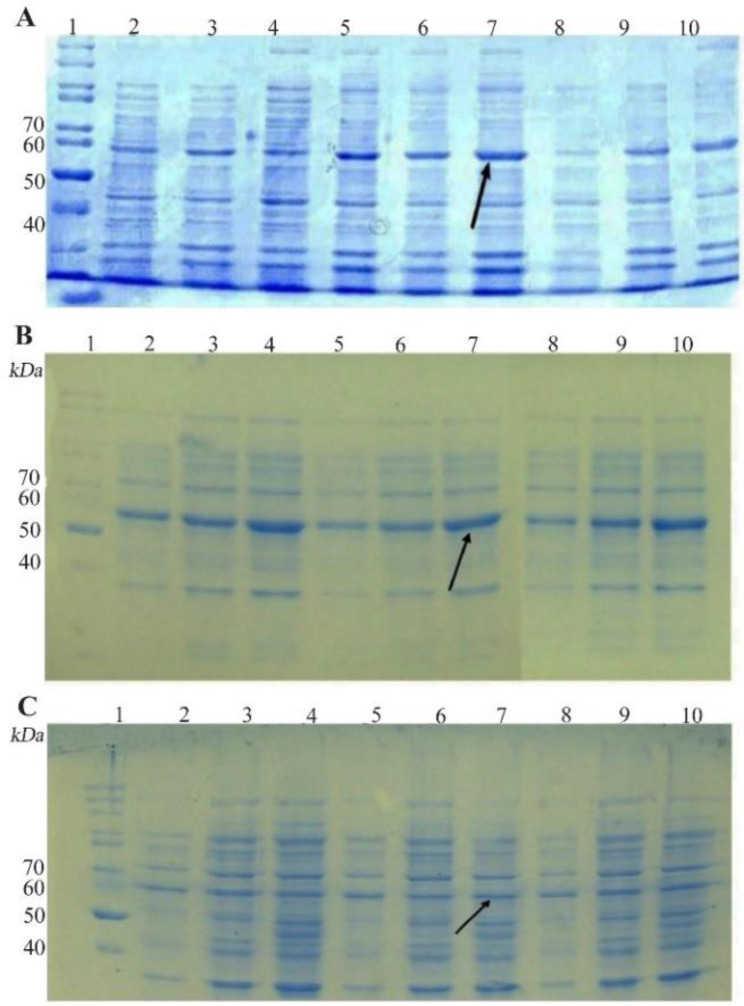 Figure 2.