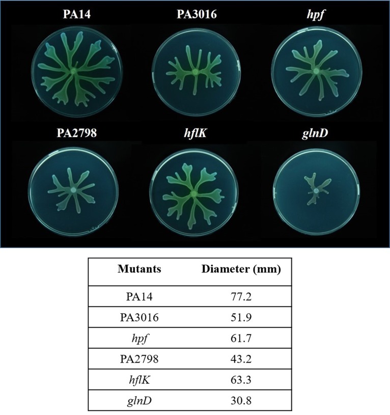 FIG 3