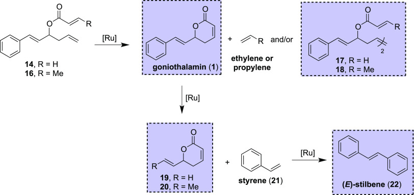 Scheme 7