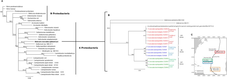 Fig 5