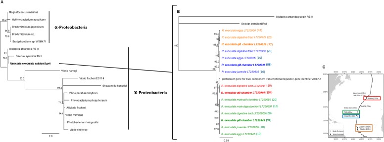 Fig 6