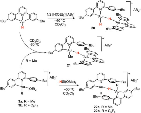 Scheme 6